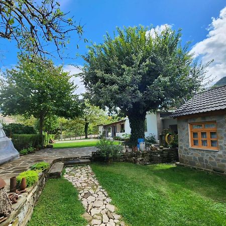 Bujtina Peshtan Guesthouse&Camping Tepelene Dış mekan fotoğraf
